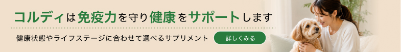 コルディ（CORDY）について