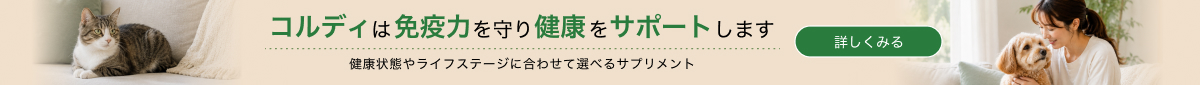 コルディ（CORDY）について
