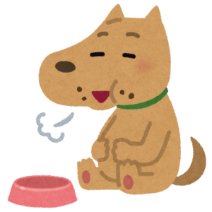 肥満と病気とダイエット