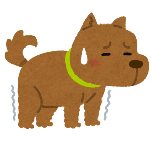 犬の肛門周囲腺腫
