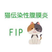 猫伝染性腹膜炎(FIP)にお勧めのコルディ