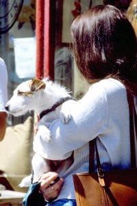 犬猫のがんが心配な方へ、日常生活で気をつけて欲しいこと