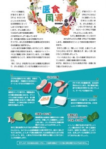 がんに負けない、新しい食事のアイデア(犬猫編)