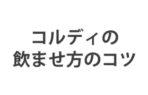 コルディの投薬補助に…