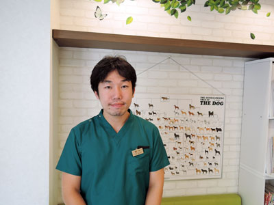 こもれび動物病院 東京都練馬区 犬 猫の健康を守り免疫力を維持するサプリメント 公式コルディ