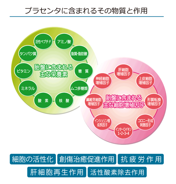 プラセンタに期待できる作用