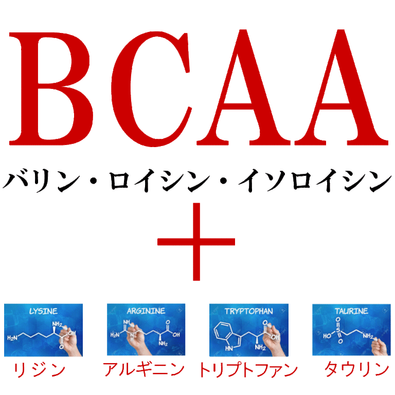 新発売 アミノ酸100 配合 アミノファイン 犬 猫の健康を守り免疫力を維持するサプリメント 公式コルディ