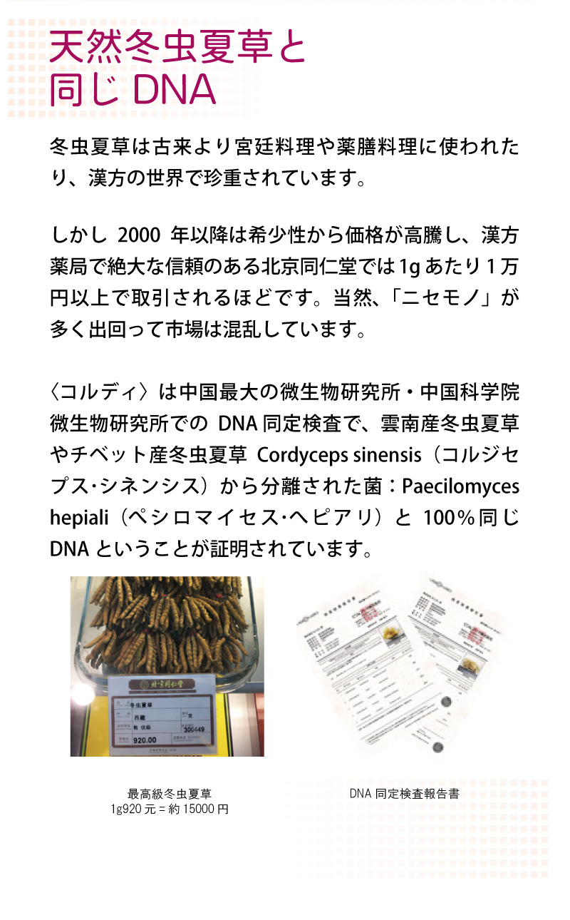 コルディフローラ[低アレルギー]（100g） | ペット用日本産冬虫夏草 