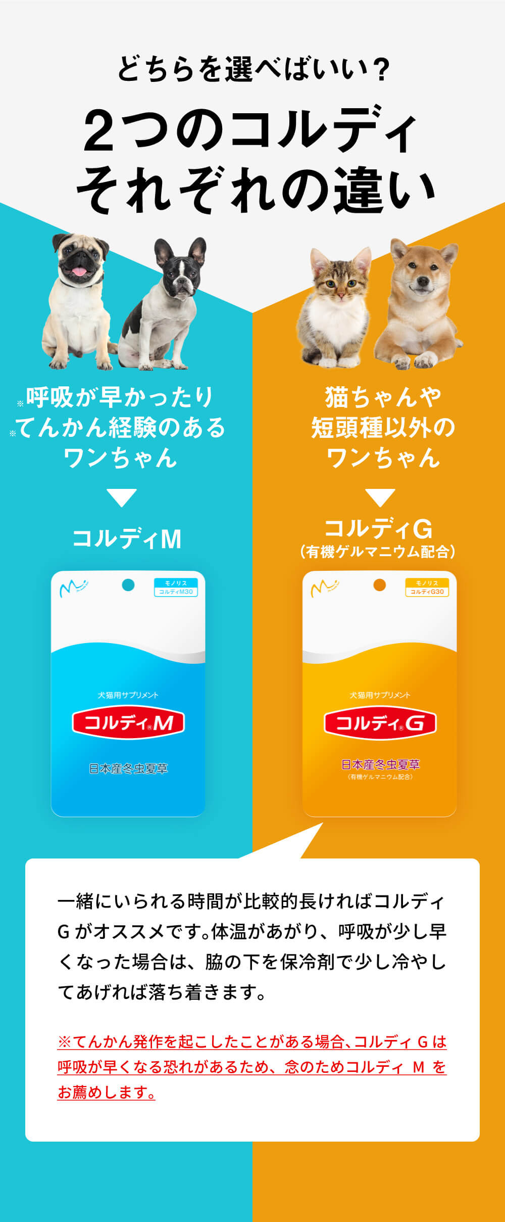 コルディG・M