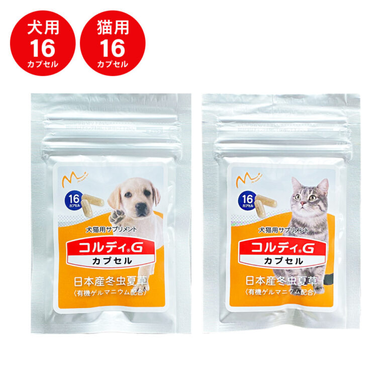 コルディGお試しカプセル
