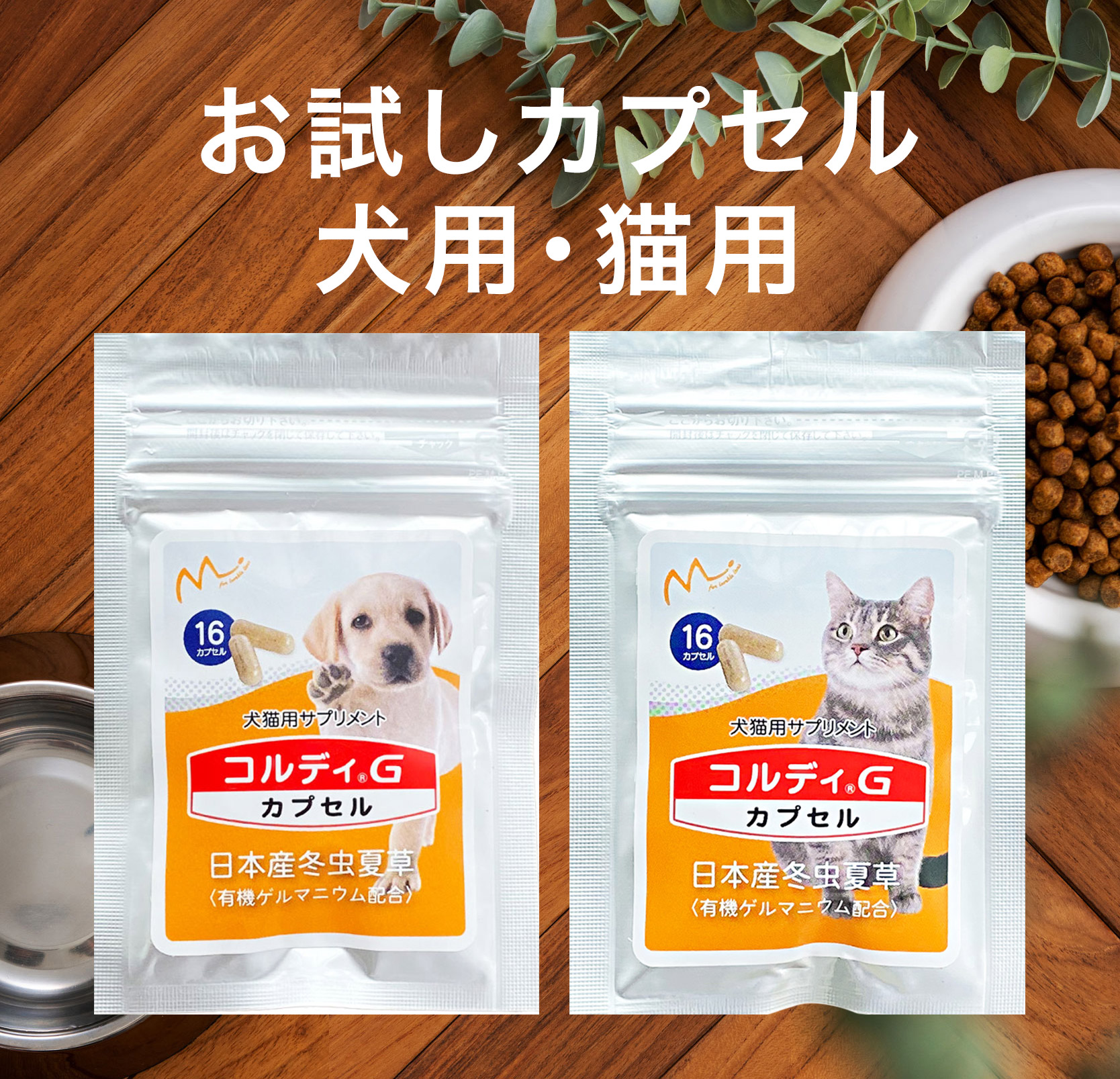 コルディGカプセル（お試しサイズ）