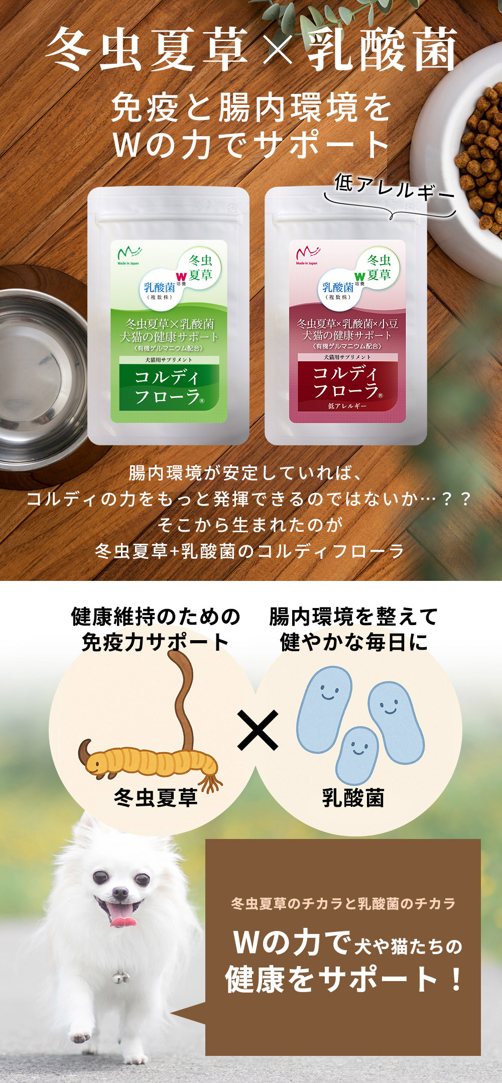 コルディフローラ