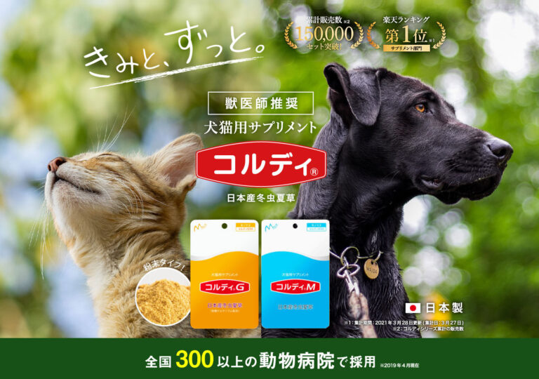 犬猫用サプリメント コルディ