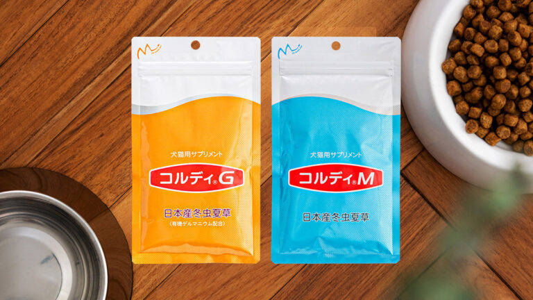 考えよう、免疫力