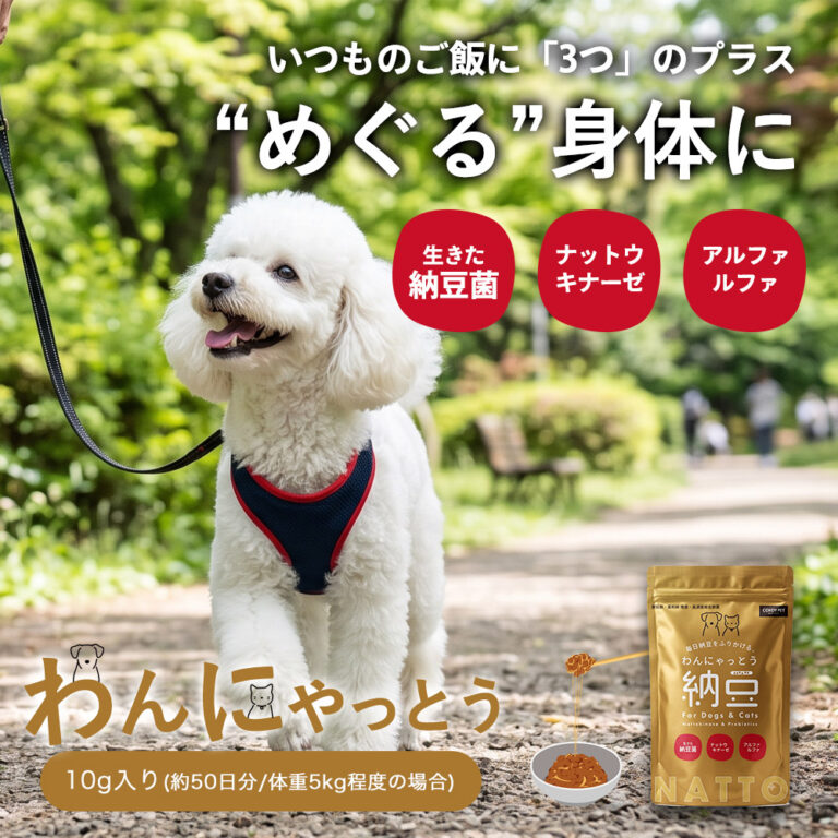 わんにゃっとう