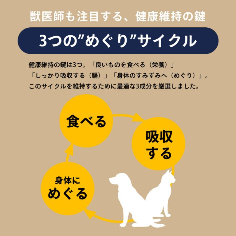 3つのめぐりサイクル
