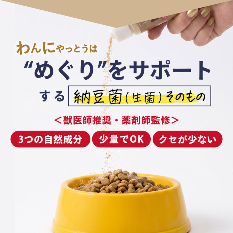 納豆菌(生菌)