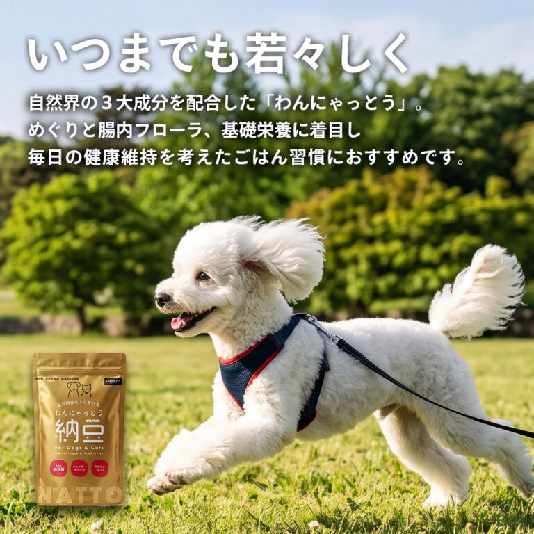 いつまでも若々しく