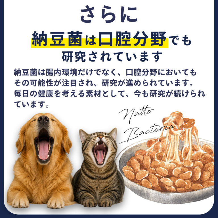 少量でOKの高濃度パウダー