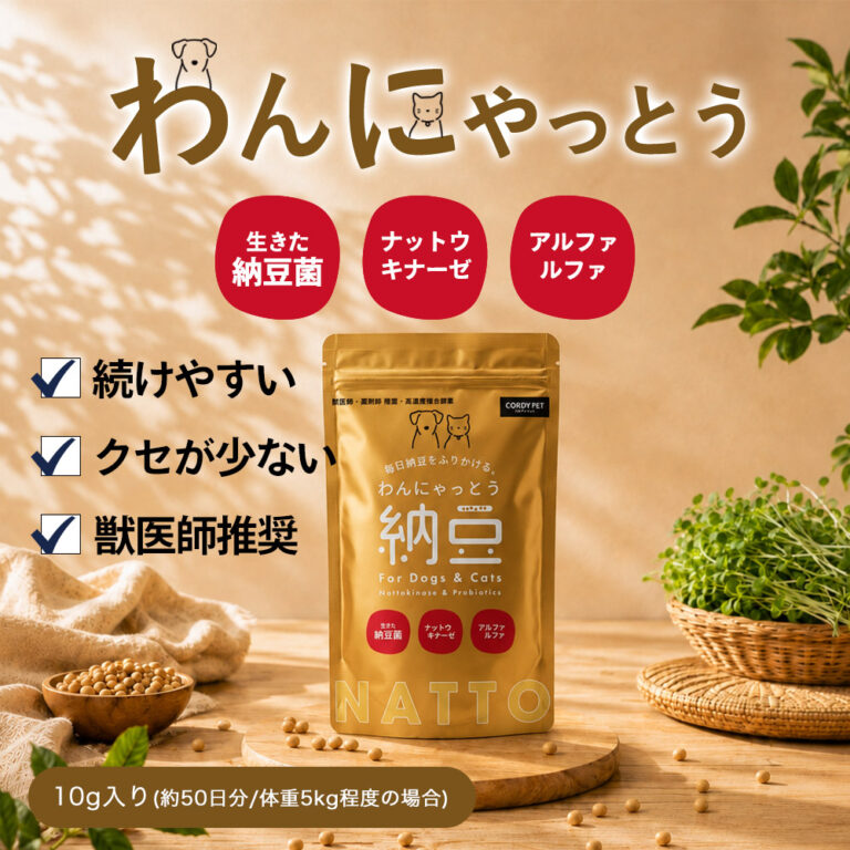 お気軽にご相談ください